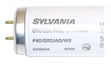 Tools & Hardware : 40 watt 48" T12 Medium Bi-Pin Base Gro-Lux Wide Spectrum Rapid Start Fluorescent Sylvania Light Bulb