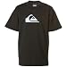 Quiksilver Mountain Wave T-Shirt - Short-Sleeve - Boys'