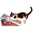 Cosmic Catnip Alpine Scratcher 1 ea