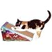 ONLINE ONLY COSMIC SCRATCHER