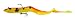 Okuma Fishing Tackle Savage Gear Real Eel Prerigged Slow Sinking Lure, Golden Ambulance, 8-Inch - 1 1/3 Ounce
