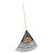 Outdoor Living : Ames True Temper 30-Inch Greensweeper Rake #1923000