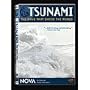 Tsunami: The Wave that Shook the World