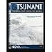 Tsunami: The Wave that Shook the World