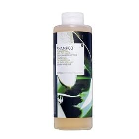 Korres Juniper and Olive Tree Shampoo For Normal and Dry Hair