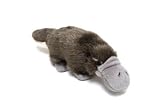 Plush Platypus 7"