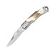 Gerber 2.5IN. Dbl Bolster Stag Single Blade Folding Knife Boxed - Gerber 22-01052