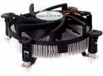 SST-NT07-775 マスタードシード 4997401137120 SST-NT07-775