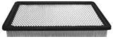 Hastings AF1220 Panel Air Element