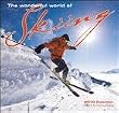 Skiiing: The Wonderful World of - 2010 Wall Calendar 12" X 12"