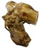 Ferrera Farms DFF4476 12-Pack Dog Short Knuckle Display Box