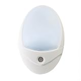 CE Compass Night LED Security Light Lamp w/ Automatic Motion Sensor