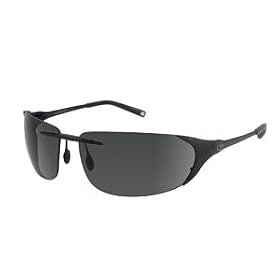 Gargoyles Diffuser Sunglasses