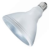 UPC 031293000248 product image for GE 45677 - 70 Watt - PAR38 Flood - ConstantColor - Pulse Start - Metal Halide -  | upcitemdb.com
