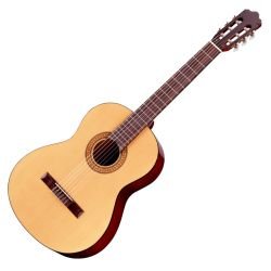 Walden Standard N 350 Klassikgitarre