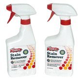 STAIN X CARPET SPOT REMOVER 2-16 OZ SPRAY BOTTLES