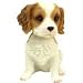 Cavalier King Charles Spaniel Bobble Head
