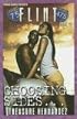 Flint: Book 1: Choosing Sides (Flint)