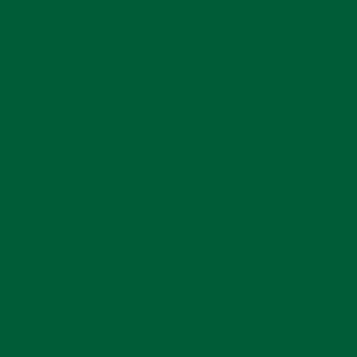 Craft E Vinyl - Glossy Dark Green 12" x 40 ft Roll of Permanent Adhesive-Backed Vinyl for Cricut Cutters, CraftROBO Cutters, Pazzles Cutters, QuicKutz Cutters - CEV1606