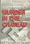 Murder in the Chateau (An Eleanor Roosevelt Mystery)