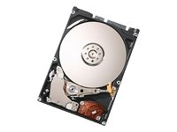 TravelStar 5K500 - Festplatte - 500 GB