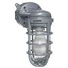 Metal Cage Wall Mount Light, Aluminum