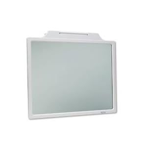 Center Mount Glass Monitor Filter, Fits 19 21 CRT, Platinum (KTKGF1921SV) Category:... by Kantek