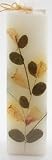 Auroshikha Flower Candles - Eucalyptus - Square (1-1/2 In x 4-3/4 In)