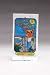 Cosmic Pet Products Catnip Garden - H8006