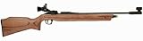 Daisy Avanti 887 Gold Medalist Competition air rifle
