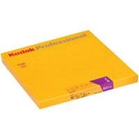 Kodak PROFESSIONAL PORTRA 160VC - Color print film - 8 x 10