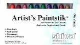 Shiva Iridescent Professional Grade Paint Sticks set of 12
