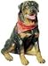 Rottweiler Dog,high Quality Resin 3d Fridge Magnet Best Price Free Shipping From Thailand