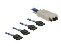 DeLock Kabel Infiniband zu 4 x SATA (SFF 8470 - 4 x SATA) Kabel extern  1 x Infiniband - 4 Preisvergleich