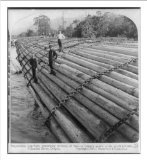 Historic Print S Stupendous Log-Raft containing millions of feet - a camps years work profit 20000