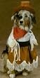 Cowgirl Dog Pet Costume