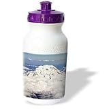 VWPics Animals - Mount Ranier as few from a jet place as it nears Seattle.Mount Ranier National Park, Washington - Water Bottles