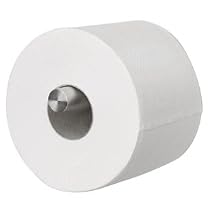 Stainless Steel Toilet Paper Holder - "Primo" Model, Holds 4 by Blomus