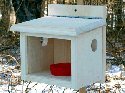 Coveside Mealworm/Bluebird Feeder (20910)