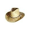 Western Economy Costume Straw Hat