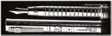 Omas Invisiblies Limited Edition Sterling Silver Fountain Pen