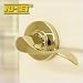Tools & Hardware : NuSet Abbey: Grade 2 Right-Handed Passage Door Lever (Lifetime Brass)