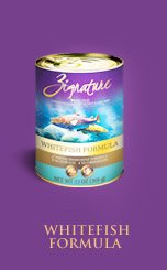 Zignature Whitefish Canned Dog Food 12/13oz