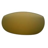 Smith Slider Replacement Lenses - Bronze Mirror