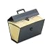 Oxford 01156 Oxford Portafile Expanding Organizer With 19 Pockets, Letter, Black