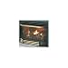 Napoleon Gi3600n Natural Gas Fireplace Insert