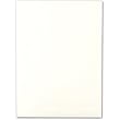 100 Fluorescent White #9 Embassy 96lb. Cards