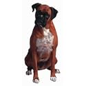 Boxer Diecut Magnet