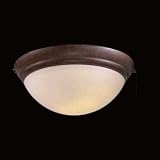 Ceiling Fan Light Kit