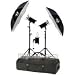 Photogenic PL325K 2125 total watt second Digital DR PowerLight Studio Kit
